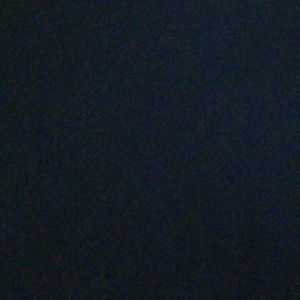 Meet your Posher, Daisy